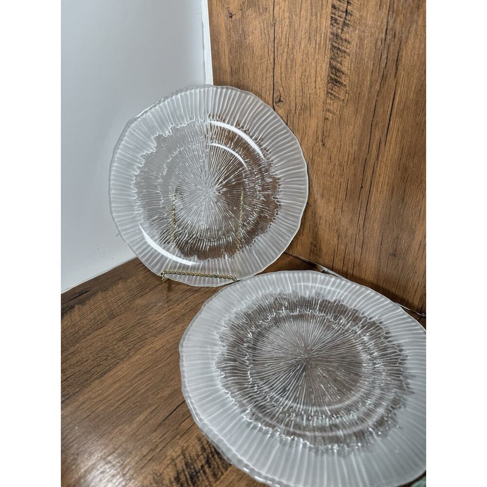 House Of Lloyd Frosted Plates Set Of 3 Vintage Made in Poland 8.5”